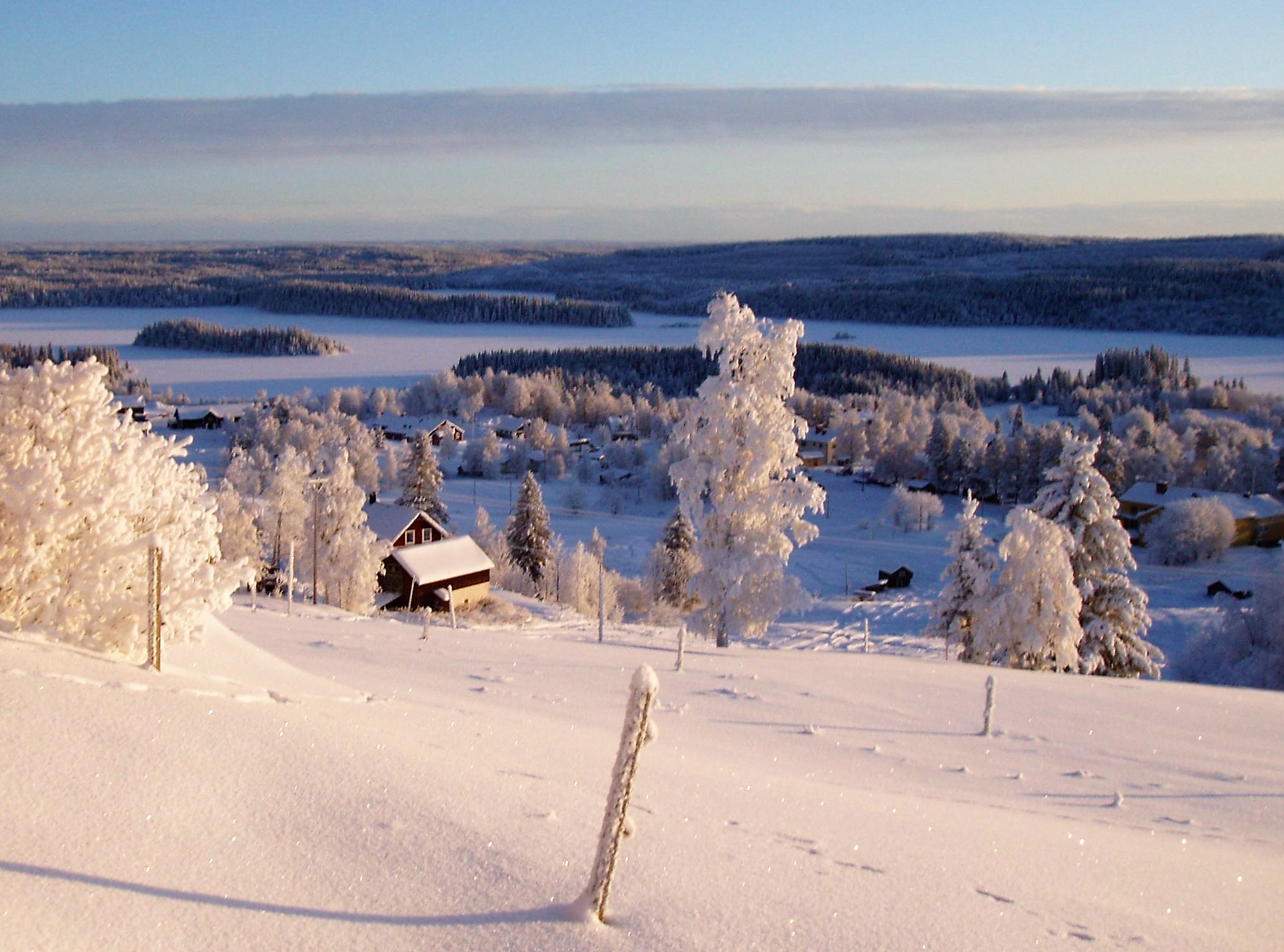 Etableringen av nyanlända kan vara kommuners överlevnad