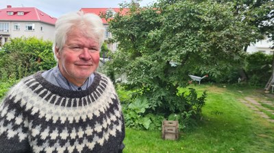 Island: Tilliten til politikere er nesten tilbake