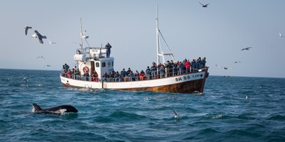 OECD: Island tjänar mer på turismen än fisket